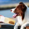 2-in-1 Travel Dog Water & Food Dispenser - Image 7