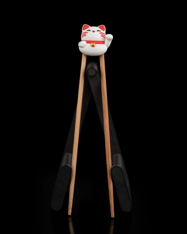 Chopstick Helpers – Fun & Unique Sushi Companions! - Image 17